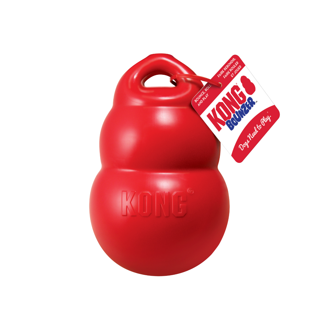 Kong Bounzer