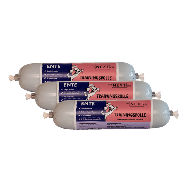NEXT Trainingsrolle Ente