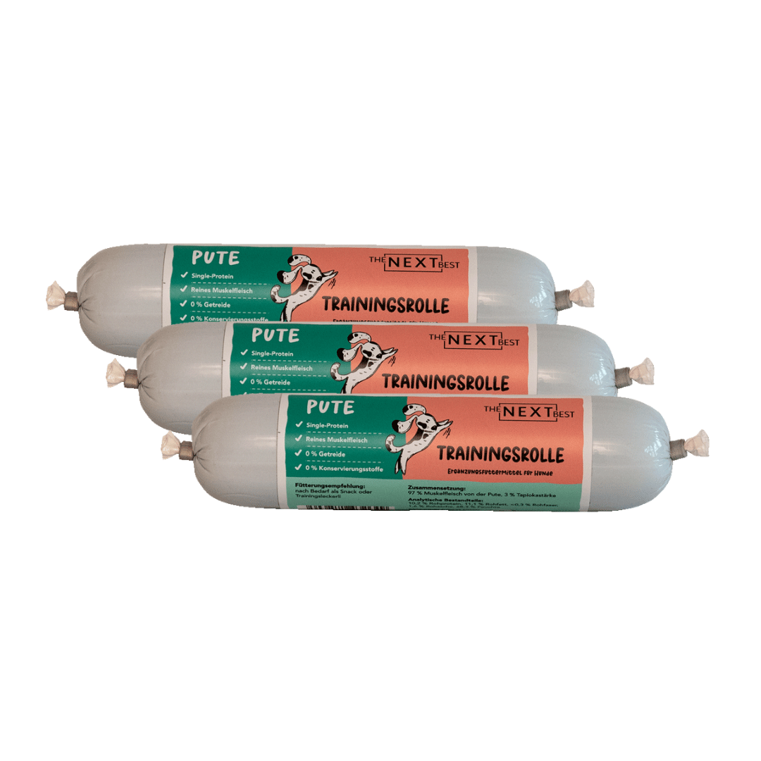 NEXT Trainingsrolle Pute