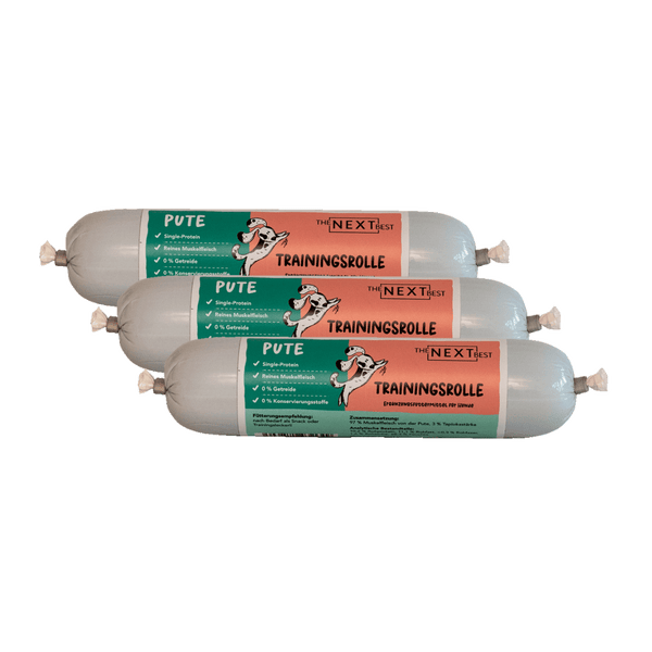 NEXT Trainingsrolle Pute