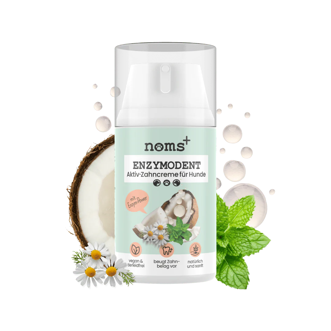 Verpackung von 'noms+' Enzymodent, einer Aktiv-Zahncreme für Hunde in einer 75ml Flasche. Abgebildet sind Kokosnüsse, Kamille und Minze.