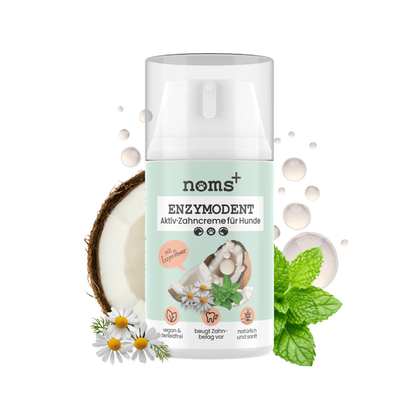 Verpackung von 'noms+' Enzymodent, einer Aktiv-Zahncreme für Hunde in einer 75ml Flasche. Abgebildet sind Kokosnüsse, Kamille und Minze.