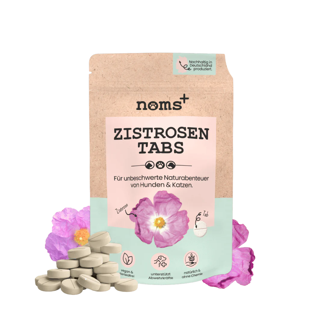 Verpackung von 'noms+ Zistrosen Tabs', 150g, mit rosa Schrift und einer Blüte. Darunter liegen graue Tabletten.
