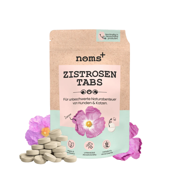 Verpackung von 'noms+ Zistrosen Tabs', 150g, mit rosa Schrift und einer Blüte. Darunter liegen graue Tabletten.