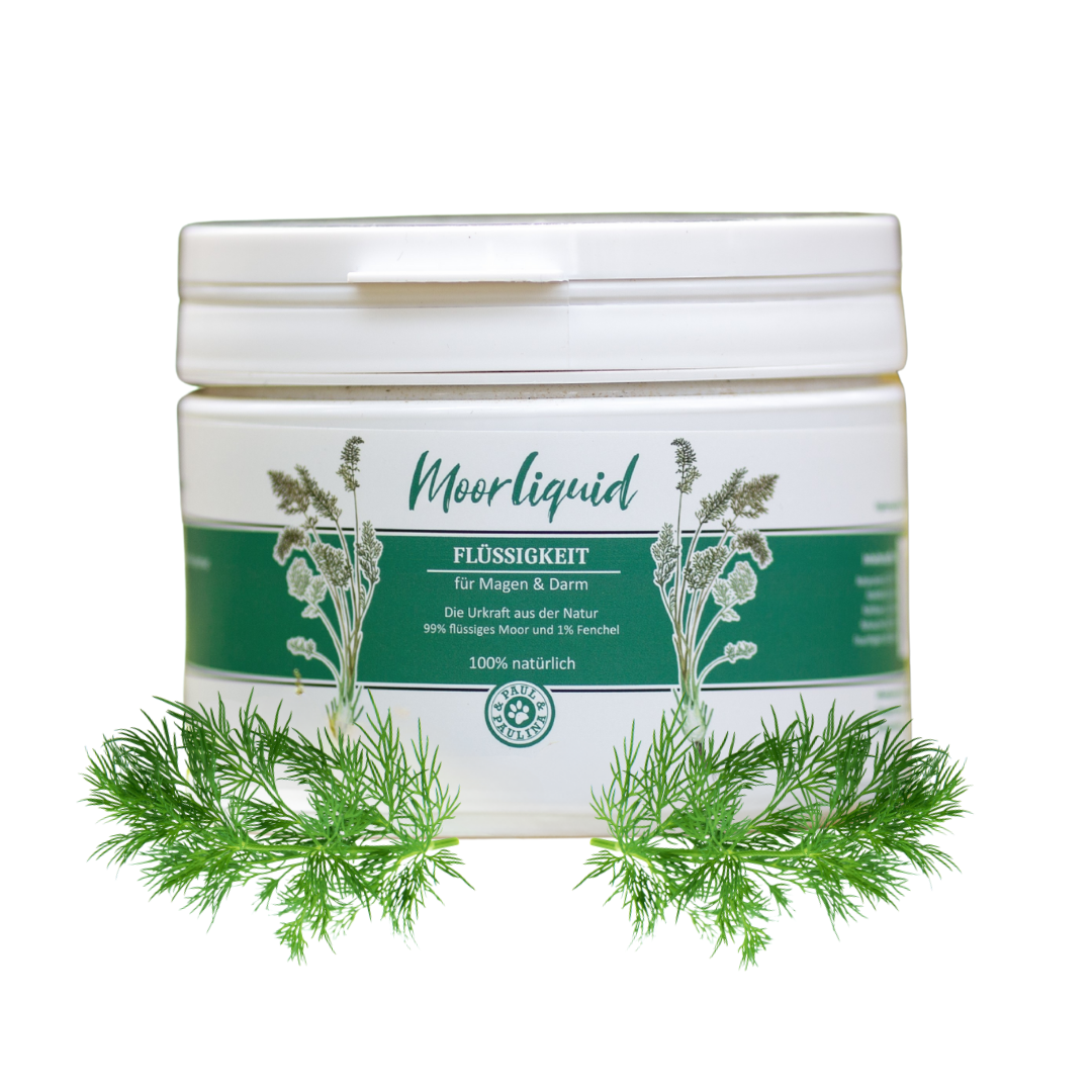 Runddose mit weißem Deckel und grünem Etikett. Auf dem Etikett steht 'Moorliquid FLÜSSIGKEIT für Magen & Darm'. Umgeben von frischen Fenchelblättern.