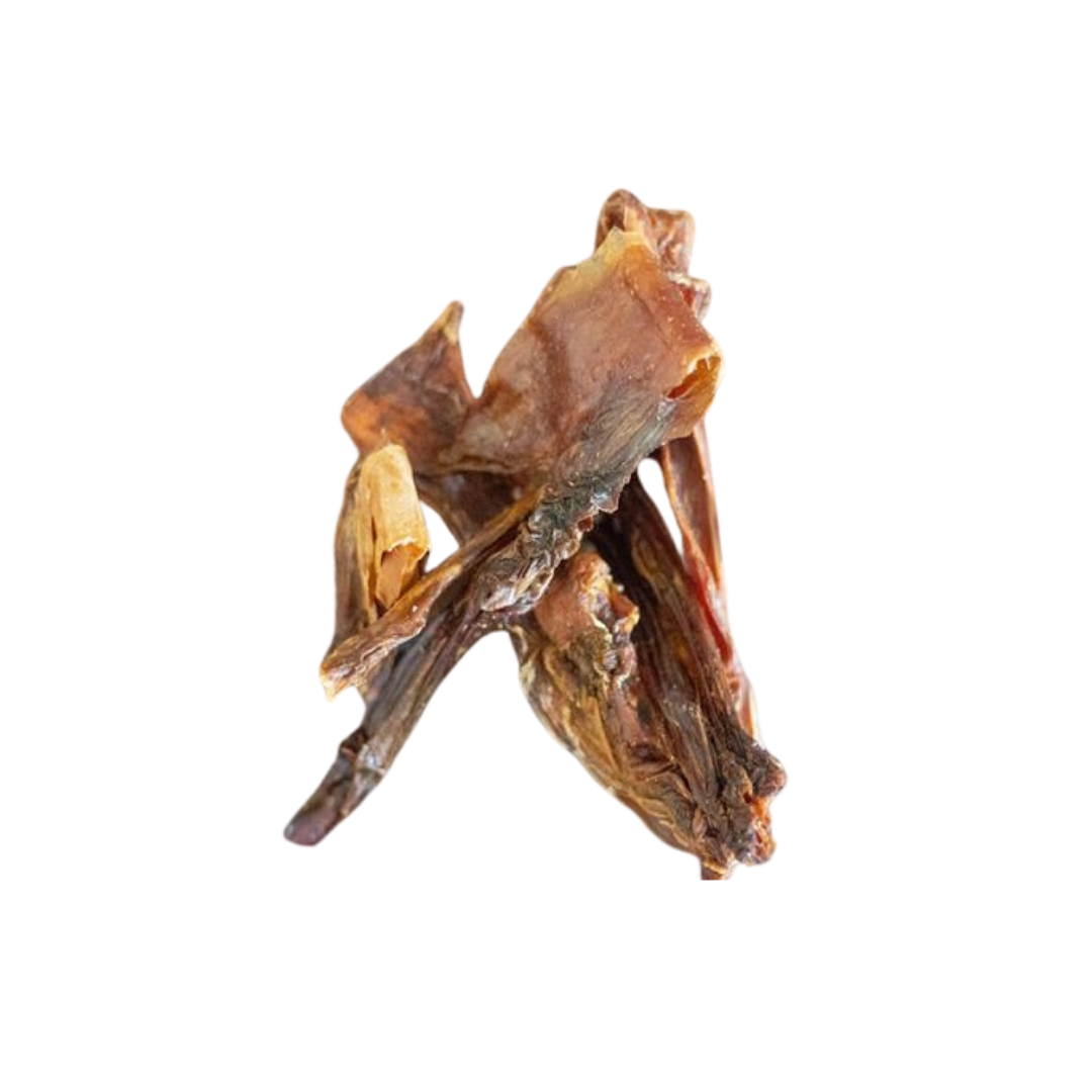 Paul und Paulina Pferdemagen