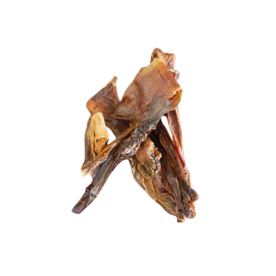 Paul und Paulina Pferdemagen