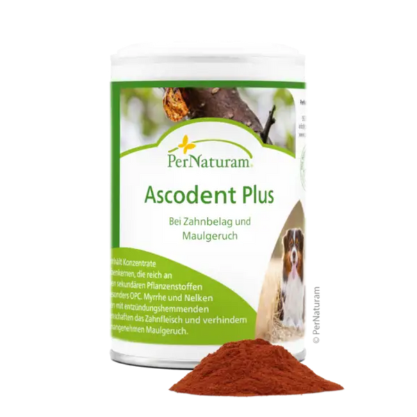 Weißer Behälter mit grünem Etikett der Marke PerNaturam, Produktname 'Ascodent Plus', mit Text "bei Zahnbelag und Maulgerauch" und einem Bild eines schwarzen und weißen Hundes, davor lose rote Kräutermischung.
