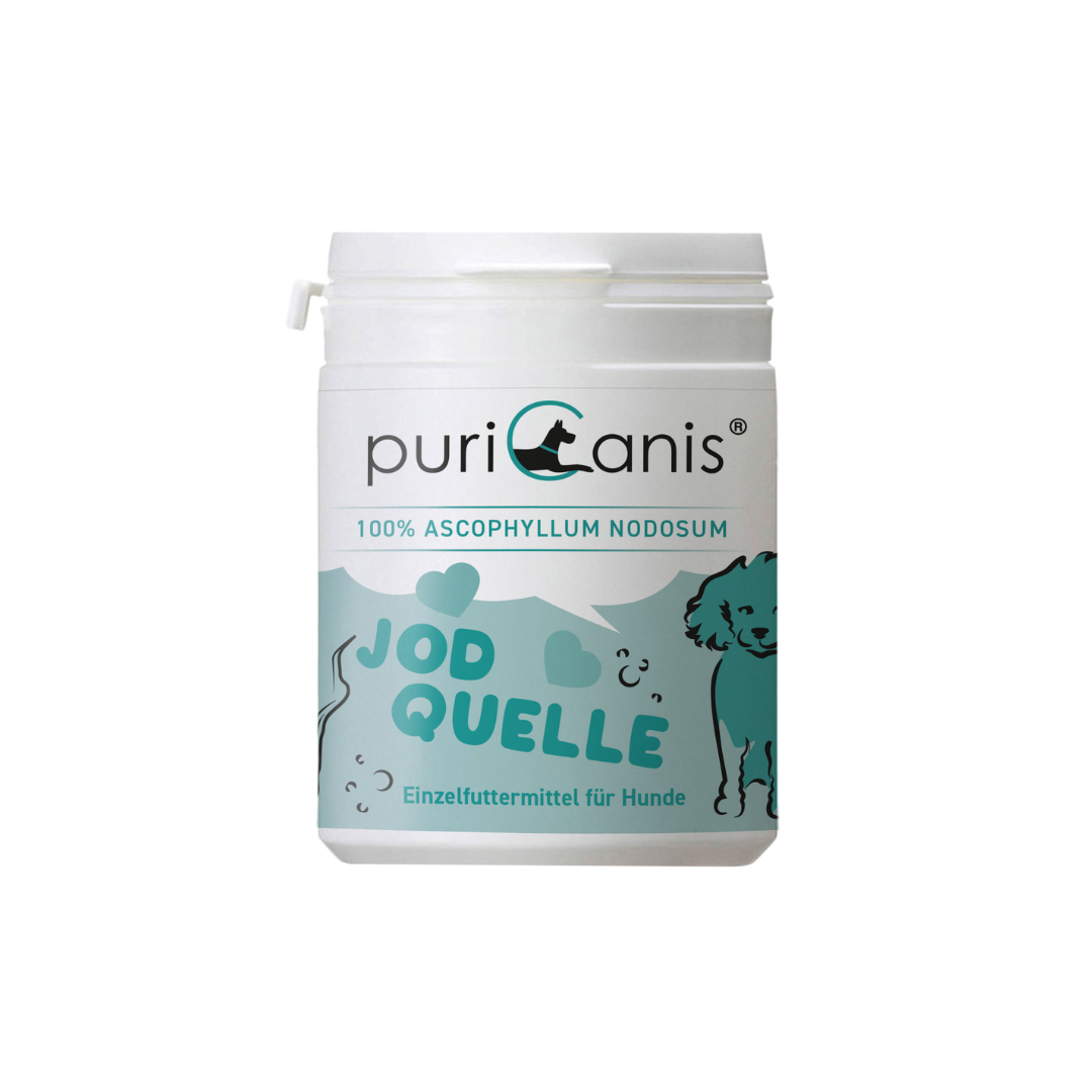 Weiß-grüne Dose mit der Aufschrift 'puriCanis', 'ERLESENE GARTENKRÄUTER', 'KÜCHENHELDEN' und 'Ergänzungsfuttermittel für Hunde', mit Zeichnung eines stehenden Hundes und Kräutern.