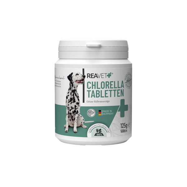 Weißer Behälter mit grünem Etikett, darauf ein Dalmatiner und der Text 'REAVET Chlorella Tabletten, Grüne Süßwasseralge, Made in Germany, 125 g, 500 Stk'.