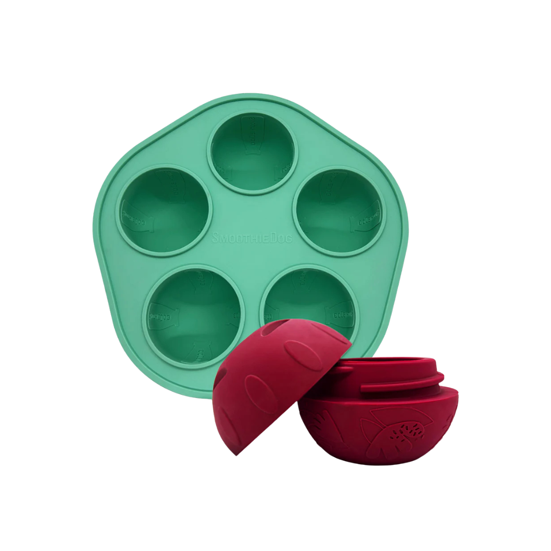 Grüne Silikonform mit fünf runden Vertiefungen und zwei rote, halbkugelförmige Hundespielzeuge mit Muster und Schraubverschluss.