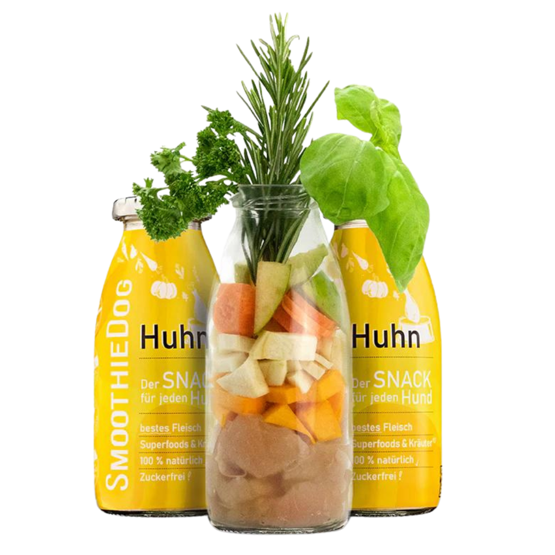 Zwei Flaschen SmoothieDog Trinkpause mit Huhn, Obst und Gemüse, davor Glasflasche mit geschnittenem Obst, Gemüse, Mango und Rosmarinzweig.
