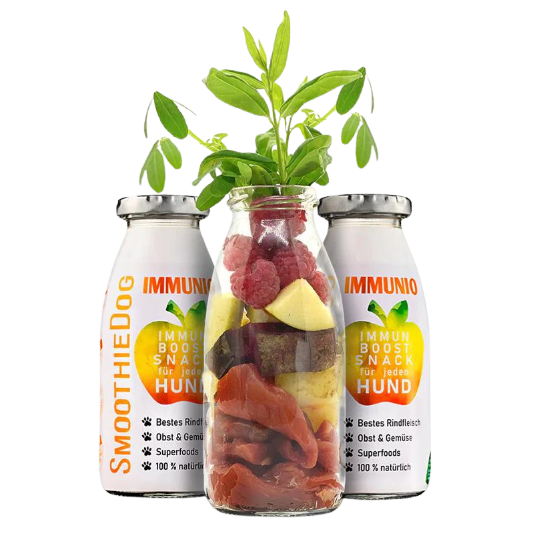 Zwei Flaschen SmoothieDog Trinkpause mit Rind, Obst und Gemüse, davor Glasflasche mit geschnittenem Obst, Gemüse und Himbeeren