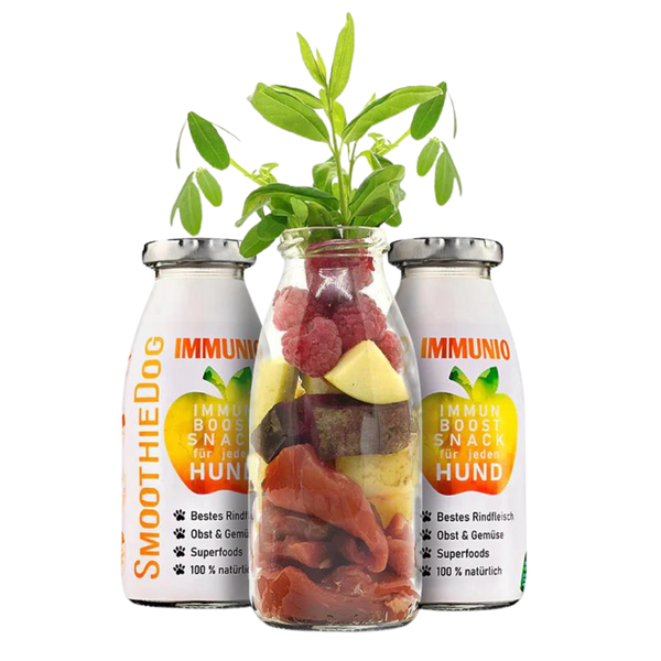 Zwei Flaschen SmoothieDog Trinkpause mit Rind, Obst und Gemüse, davor Glasflasche mit geschnittenem Obst, Gemüse und Himbeeren