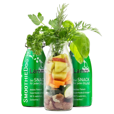 Zwei Flaschen SmoothieDog Trinkpause mit Lamm, Obst und Gemüse, davor Glasflasche mit geschnittenem Obst, Gemüse, Apfel und Rosmarinzweig.