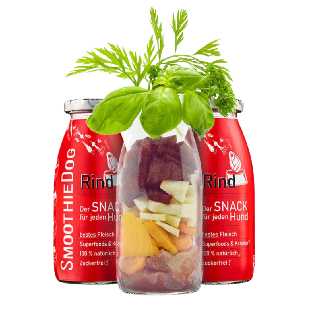 Zwei Flaschen SmoothieDog Trinkpause mit Rind, Obst und Gemüse, davor Glasflasche mit geschnittenem Obst, Gemüse und Kräuter.