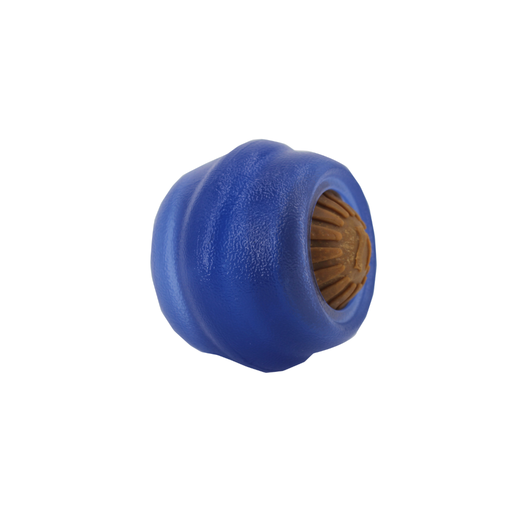 Everlasting Treat Ball