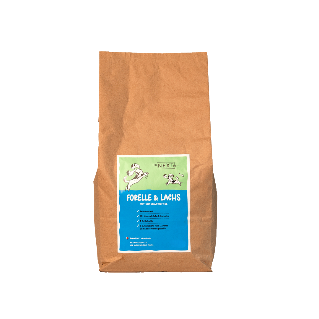 Großer brauner Futtersack von The Next Best mit der Sorte Forelle & Lachs und Süßkartoffel. Hochwertiges Hundefutter mit hohem Fleischanteil, ohne Getreide, künstliche Farb-, Aroma- und Konservierungsstoffe.