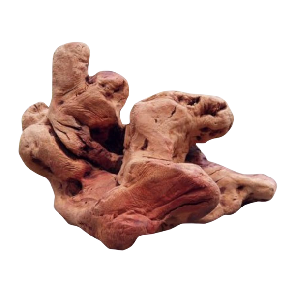 Unregelmäßig geformtes, knorrige Wurzel mit rauer Oberfläche und der Aufschrift 'TORGAS' in gelber Schrift.