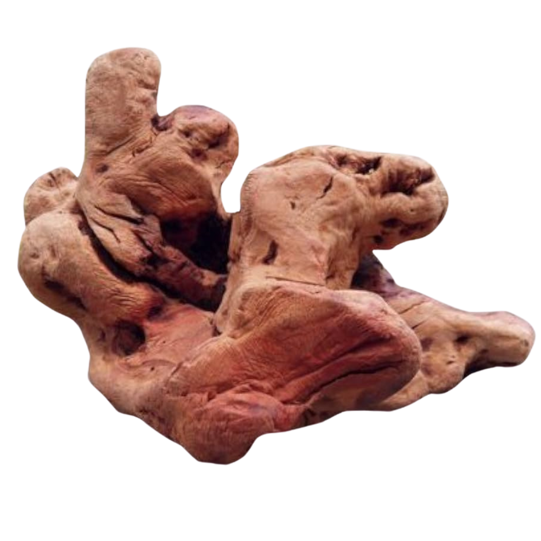 Unregelmäßig geformtes, knorrige Wurzel mit rauer Oberfläche und der Aufschrift 'TORGAS' in gelber Schrift.