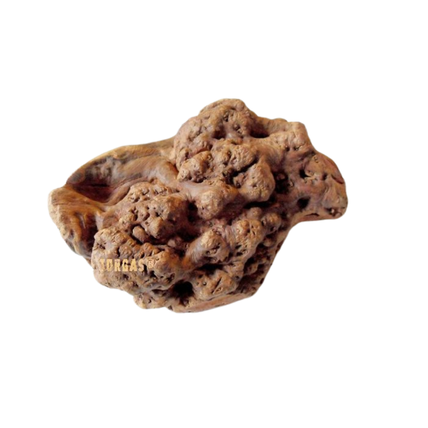 Unregelmäßig geformtes, knorrige Wurzel mit rauer Oberfläche und der Aufschrift 'TORGAS' in gelber Schrift.