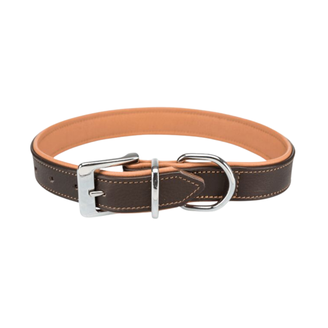 Active Lederhalsband unterfüttert