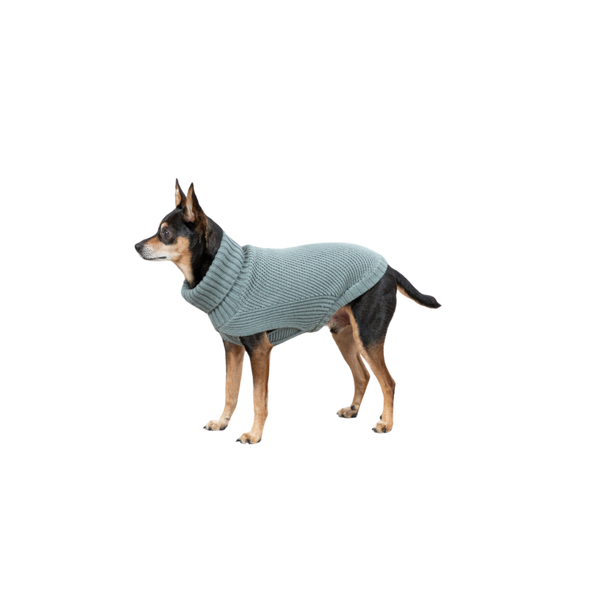 CityStyle Strickpullover Salbei