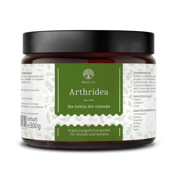 Braunes Glasgefäß mit schwarzem Deckel, grünem Etikett und weißer Schrift, zeigt Produktname 'Arthridea' von Waldkraft, Ergänzungsfuttermittel für Hunde und Katzen, 300 g.