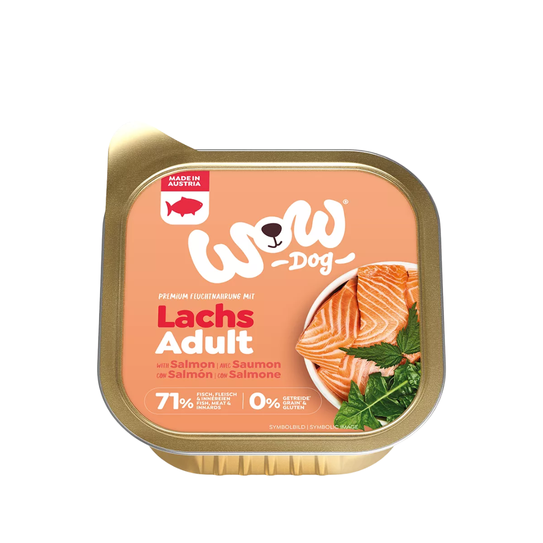 Goldfarbene Verpackung mit Aufschrift 'WOW Dog Lachs Adult', Bild von Lachsfilets und Kräutern, 71 % Fisch, Fleisch und Innereien, ohne Getreide, hergestellt in Österreich.