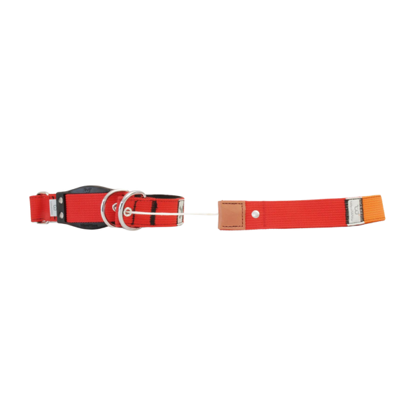 WowWow Halsband Rot